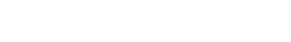 panattoni-logo
