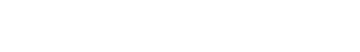 panattoni-logo